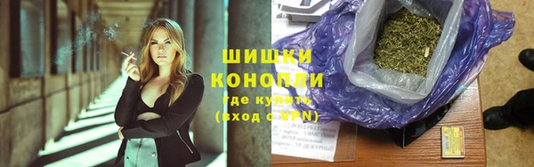 крисы Бронницы