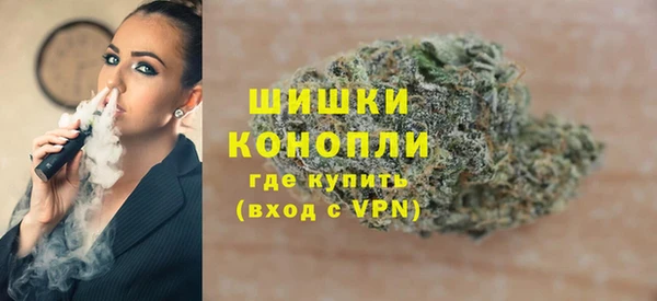 крисы Бронницы