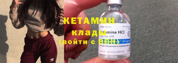 твердый Бородино