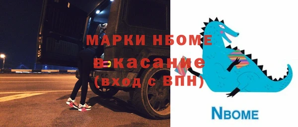 твердый Бородино