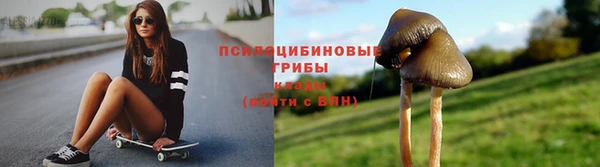 крисы Бронницы