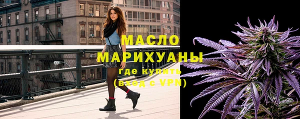 твердый Бородино
