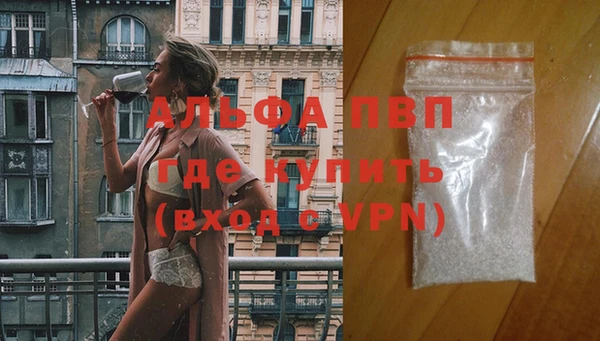 крисы Бронницы
