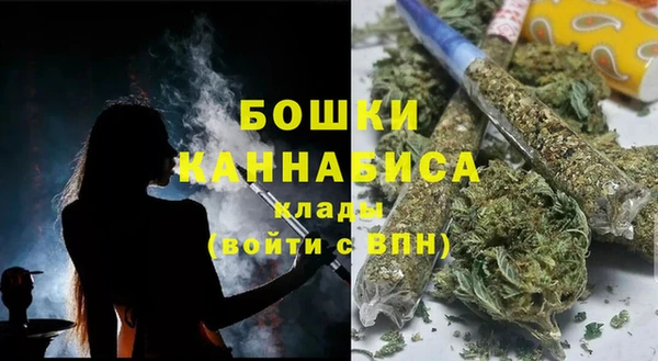 стаф Вязники