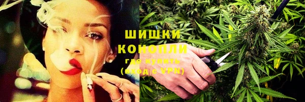 крисы Бронницы