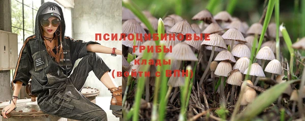 крисы Бронницы
