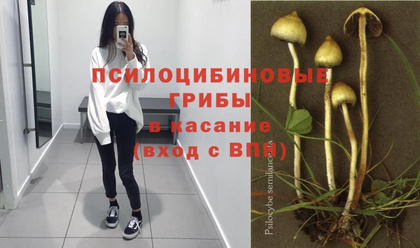 эйфоретик Бугульма
