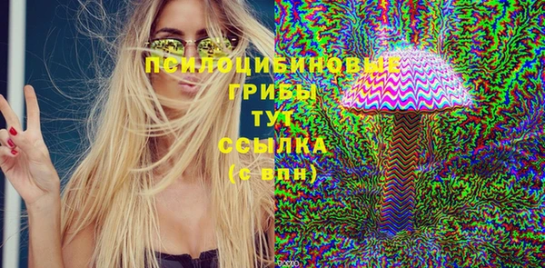 твердый Бородино