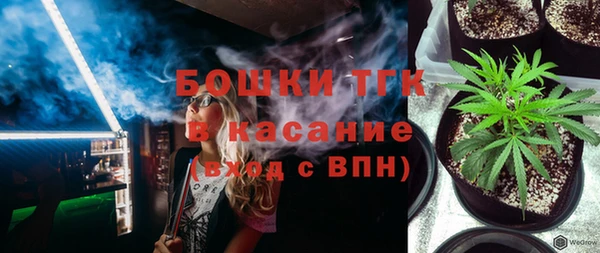 твердый Бородино
