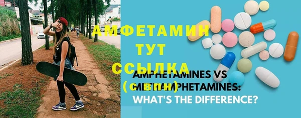твердый Бородино