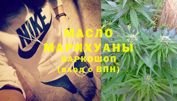 крисы Бронницы