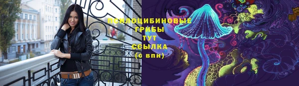 стаф Вязники