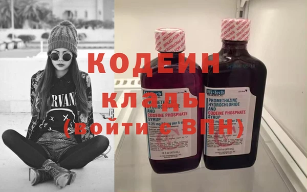 крисы Бронницы