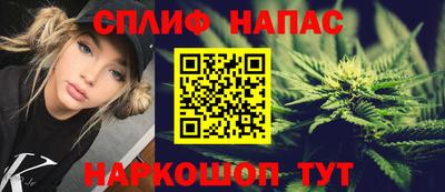 МДПВ Будённовск