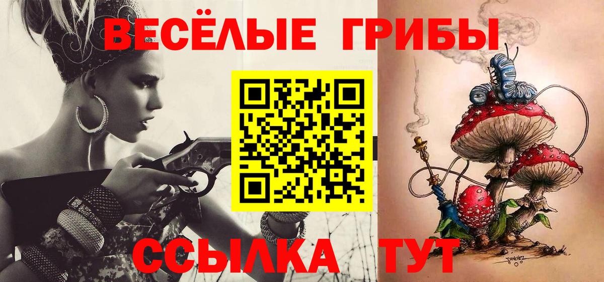 Псилоцибиновые грибы прущие грибы  Псилоцибиновые грибы GOLDEN TEACHER  Дагестанские Огни 