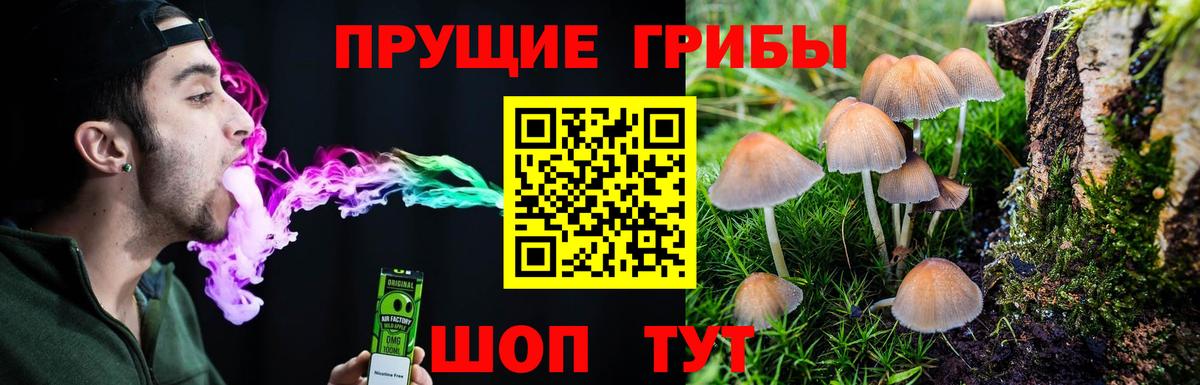 Псилоцибиновые грибы MAGIC MUSHROOMS Дагестанские Огни